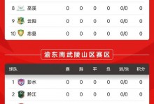 中超积分榜：川渝两队领跑，大连稳坐第3，申花升至第5名