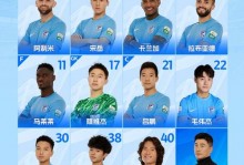 中超联赛第6轮大连英博海发VS河南俱乐部彩陶坊首发及替补名单