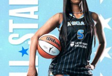 wnba一共有多少个队（wnba成员）