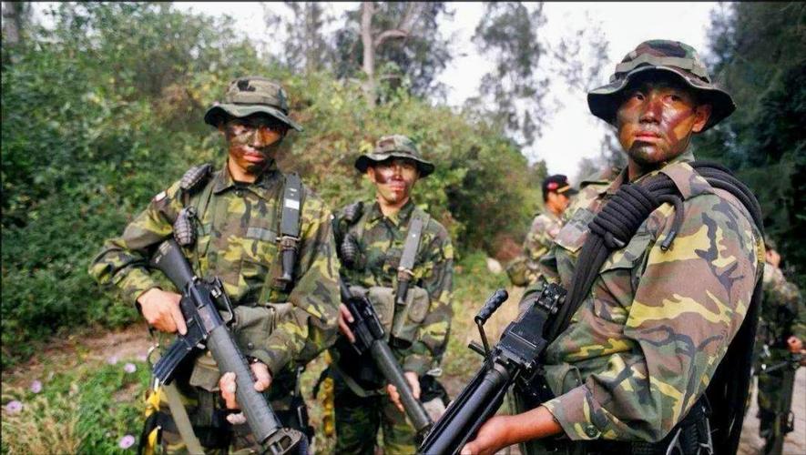 泰山换援太离谱！40万欧勤兵背锅离队，550万欧重叠乱象无人根治